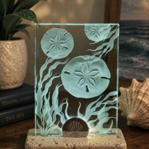 Sand Dollar